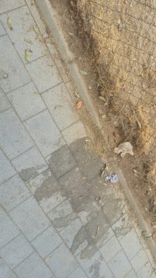 Orina y excrementos en Hortaleza