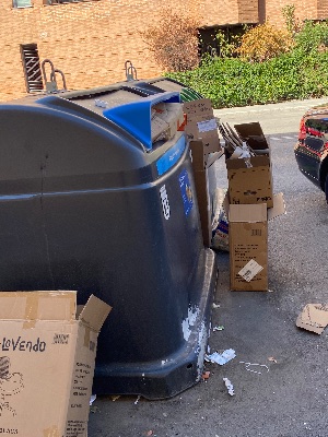 Contenedor desbordado en Ciudad Lineal