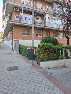 Papelera desbordada en Fuencarral-El Pardo